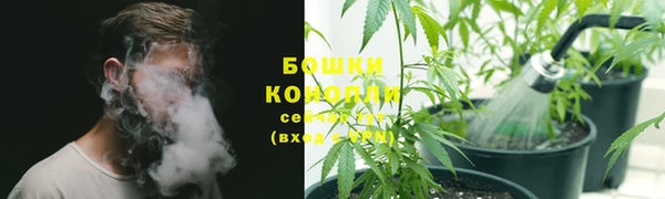 мет Белокуриха