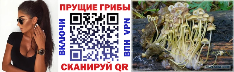 Псилоцибиновые грибы мухоморы  Курильск 