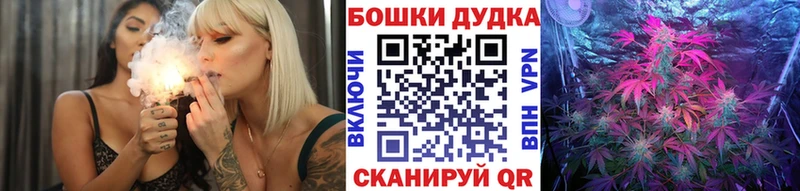 Конопля семена  где купить наркоту  ссылка на мегу как войти  Курильск 